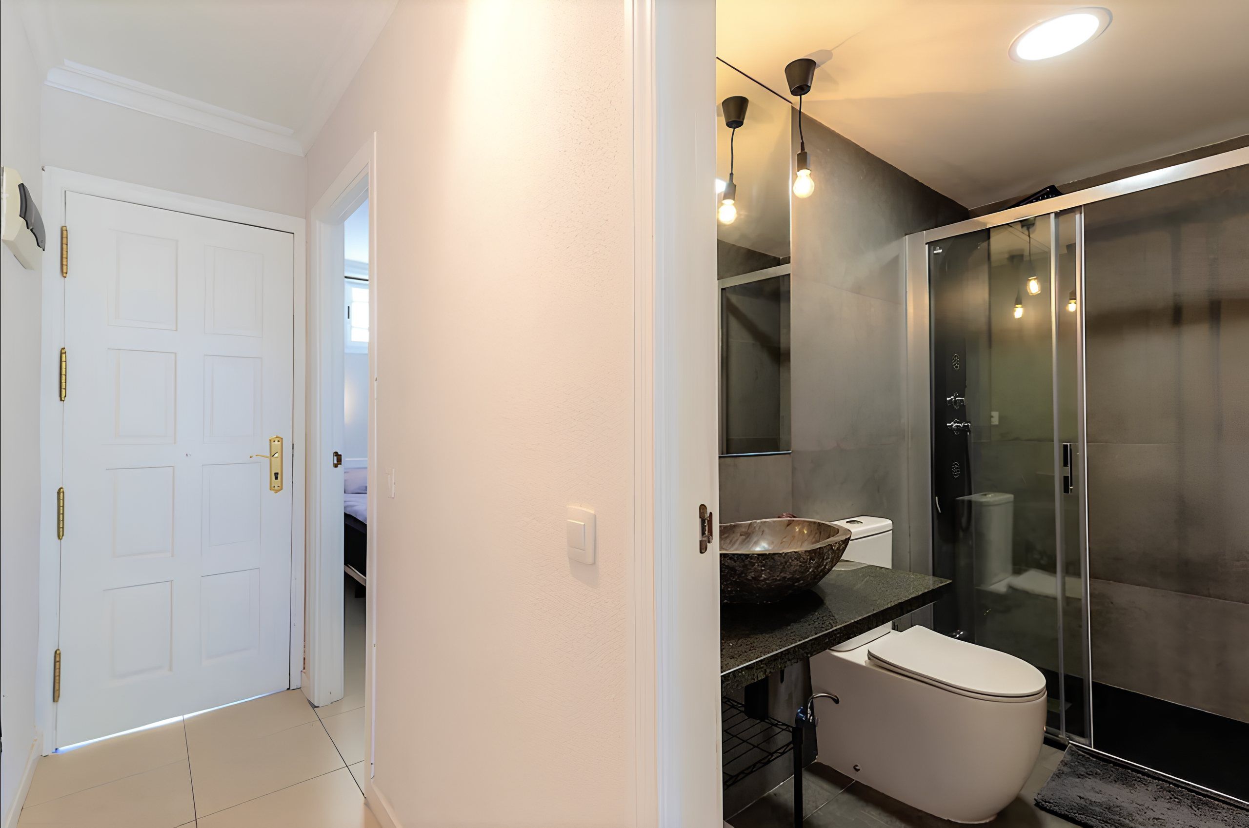 Entrance door and glass shower cabin