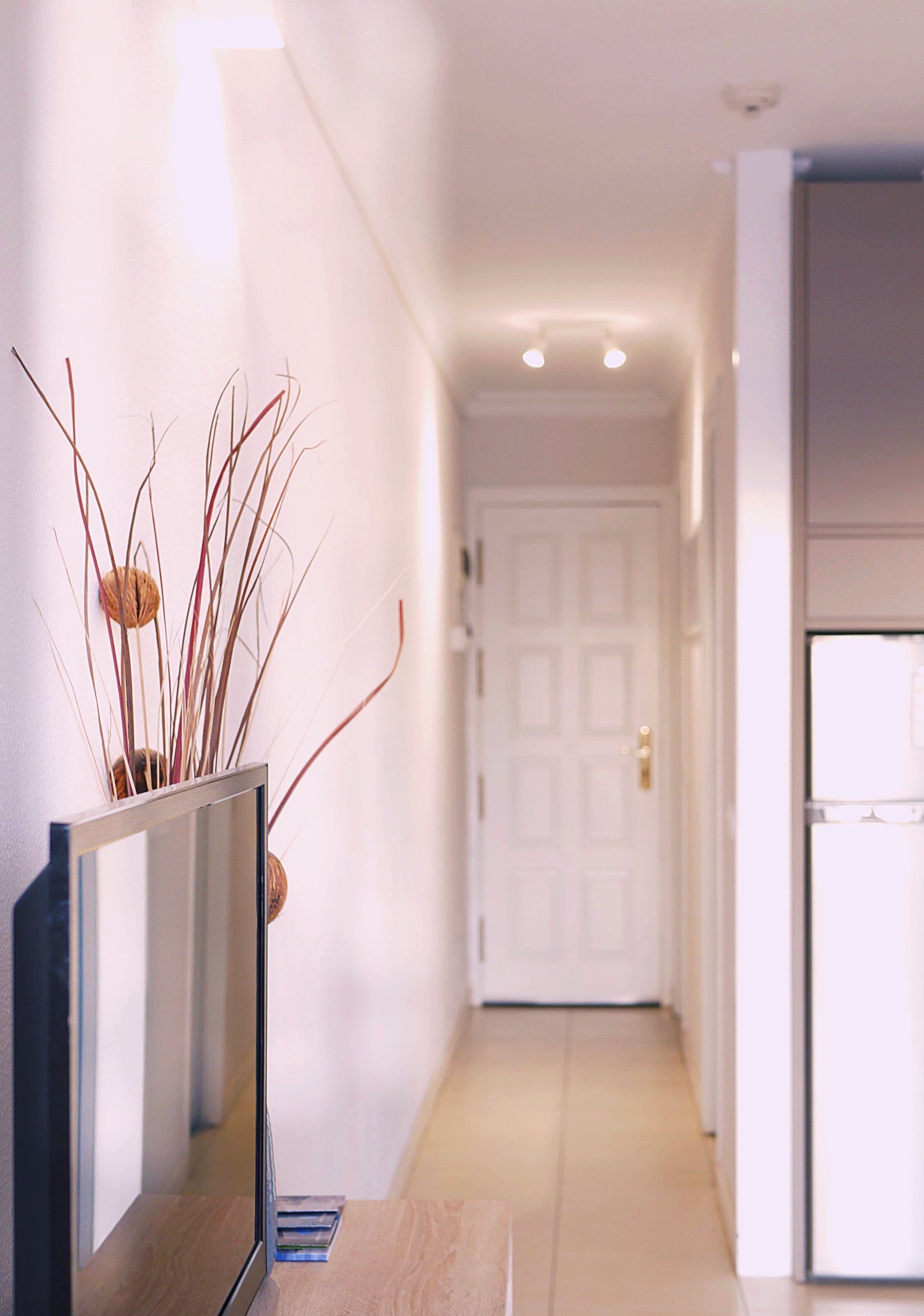 Entrance hallway of the apartment