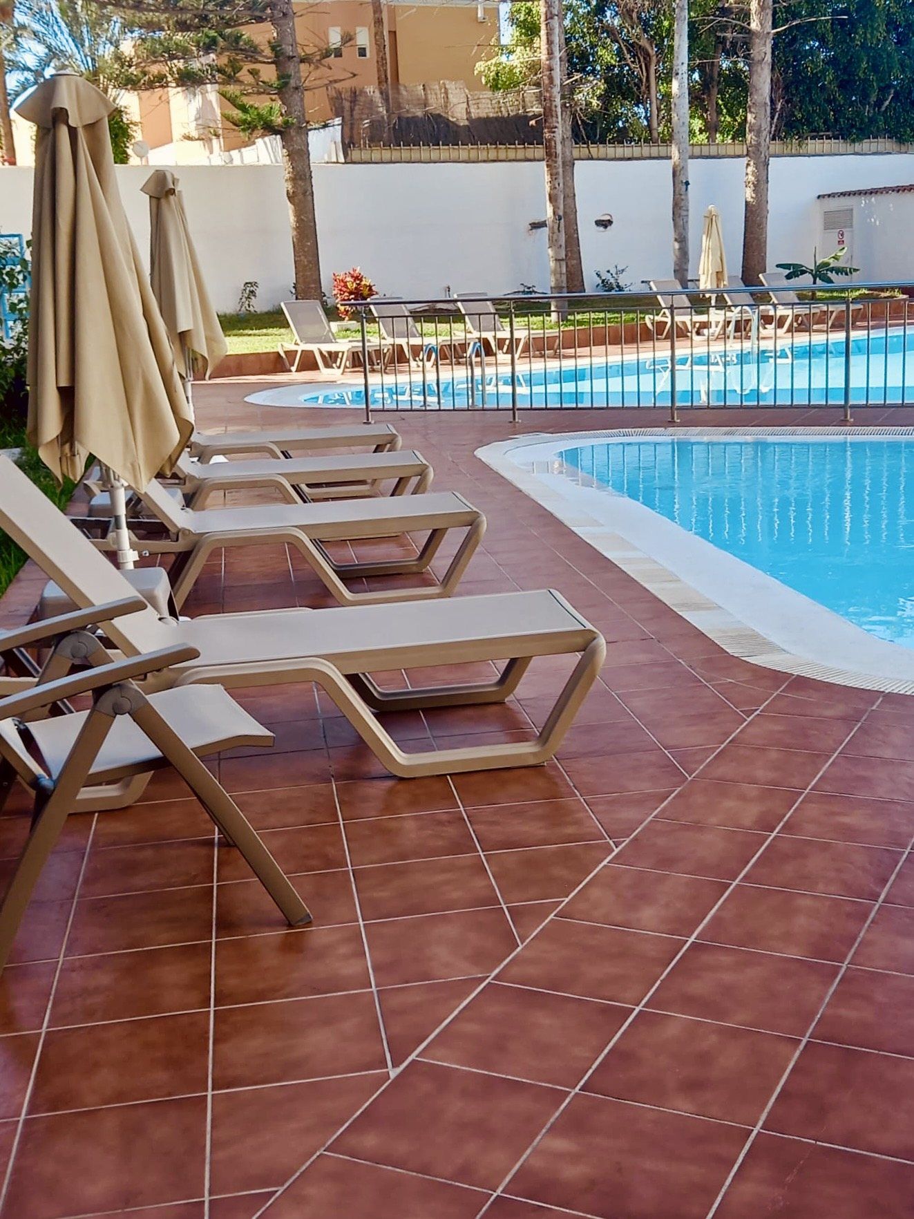 Sun loungers beside the pool