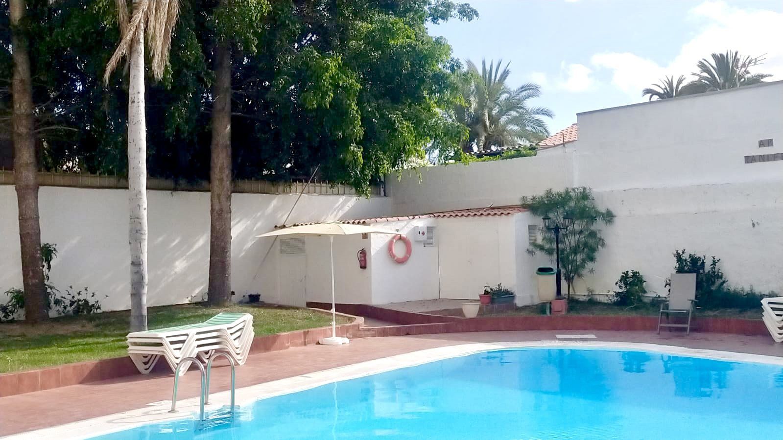 Swimming pool with palm trees