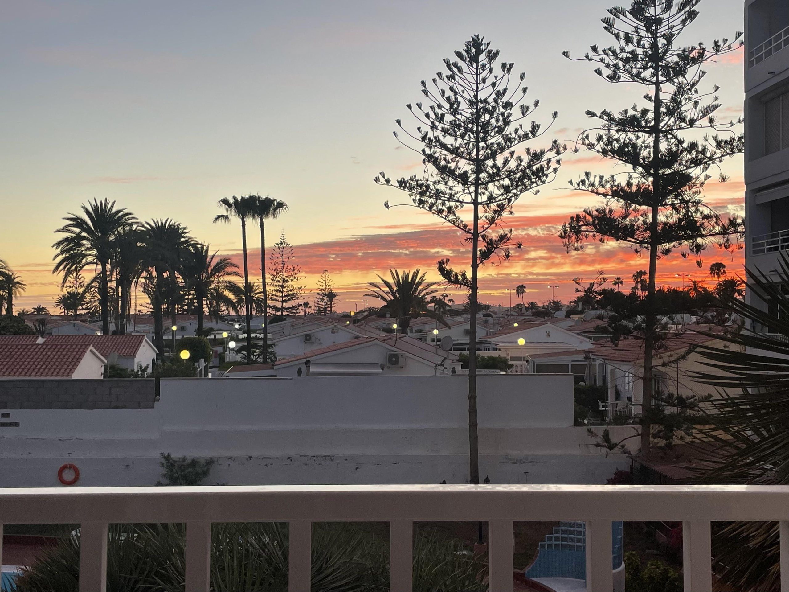 Sunset sky behind pine trees and palm trees seen from the loggia